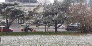 Beitragsbild des Blogbeitrags Erster Schnee