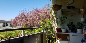 Beitragsbild des Blogbeitrags Bleib zuhause – ich hab‘ leicht reden