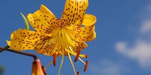 Beitragsbild des Blogbeitrags Die Roten und Grünen sind mir eine herbe Enttäuschung