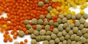 Beitragsbild des Blogbeitrags Linsen Rezepte