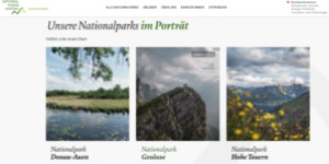 Beitragsbild des Blogbeitrags Traumurlaub