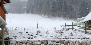 Beitragsbild des Blogbeitrags Frühlingsbeginn - 19./20./21. März oder?