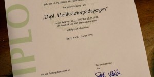 Beitragsbild des Blogbeitrags Dipl. Heilkräuterpädagogin