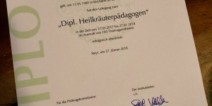 Beitragsbild des Blogbeitrags Dipl. Heilkräuterpädagogin 