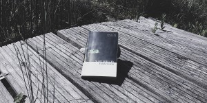 Beitragsbild des Blogbeitrags Frankenstein – Mary Shelley