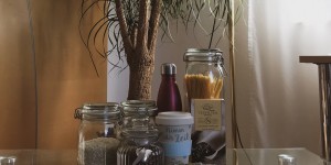 Beitragsbild des Blogbeitrags How I Got Into Sustainability