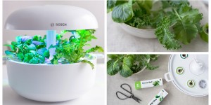 Beitragsbild des Blogbeitrags SmartGrow – Mein intelligenter Kräutergarten für die Küche