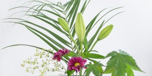 Beitragsbild des Blogbeitrags DIY Ikebana inspiriertes Blumenarrangement mit Schnittblumen von HOFER 