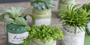 Beitragsbild des Blogbeitrags Upcycling Idee: Vom Pesto-Glas zum Blumentopf + DIY Kreidefarbe