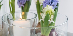Beitragsbild des Blogbeitrags Die schnelle Deko-Idee: Duftendes Frühlings-Arrangement im Glas