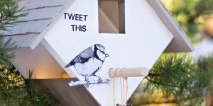 Beitragsbild des Blogbeitrags DIY: So baust du ein tolles Vogelfutterhaus für den Garten selbst 