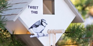 Beitragsbild des Blogbeitrags DIY: So baust du ein tolles Vogelfutterhaus für den Garten selbst