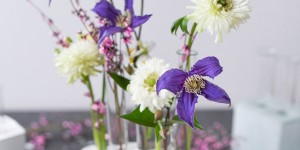 Beitragsbild des Blogbeitrags DIY: Blumenvasen aus Gips für den Frühling 