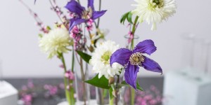 Beitragsbild des Blogbeitrags DIY: Blumenvasen aus Gips für den Frühling