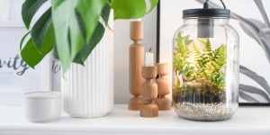 Beitragsbild des Blogbeitrags DIY: Dekoleuchte mit Pflanzen dekorieren 