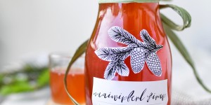 Beitragsbild des Blogbeitrags Heilkraft aus dem Wald: So einfach machst du deinen eigenen Hustensaft aus Tannenwipfel