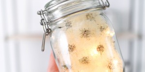 Beitragsbild des Blogbeitrags Echte Pusteblumen mit einfachem Trick konservieren + ein Glas voller Wünsche 