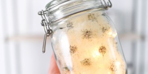 Beitragsbild des Blogbeitrags Echte Pusteblumen mit einfachem Trick konservieren + ein Glas voller Wünsche