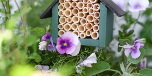 Beitragsbild des Blogbeitrags Immer schön hereingeflogen: Ein Mini Bienenhotel für Balkon und Terrasse selber bauen 