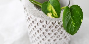 Beitragsbild des Blogbeitrags DIY: Honeycomb Vase aus Beton mit Luftpolsterfolie 