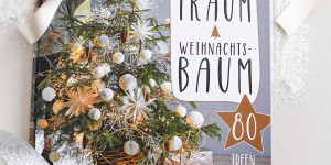 Beitragsbild des Blogbeitrags Buchvorstellung: Die schönsten Ideen für deinen Weihnachtsbaum zum Nachmachen 