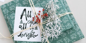 Beitragsbild des Blogbeitrags Kreativ-Adventskalender #14: Weihnachtlicher Gips-Schmuck aus Zapfen, Zweigen und Co. 