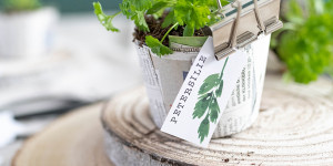 Beitragsbild des Blogbeitrags Urban Gardening: Kompostierbare Anzuchttöpfchen aus Zeitungspapier selber machen 
