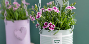 Beitragsbild des Blogbeitrags Upcycling-Idee zum Muttertag: Bepflanzte Blumenampel aus Konservendosen selber machen 