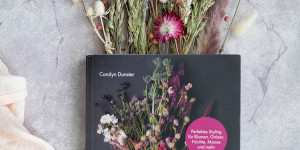 Beitragsbild des Blogbeitrags Buchtipp | Trockenblumen – vom Samen bis zum Arrangement von Carolyn Dunster 