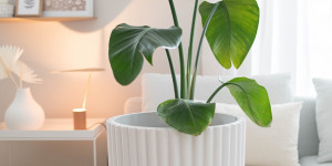 Beitragsbild des Blogbeitrags DIY: Stylisches Blumentopf-Makeover mit Holzleisten und Farbe