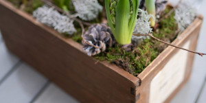 Beitragsbild des Blogbeitrags Deko-Idee im Jänner: Holzkiste mit Frühblühern bepflanzen