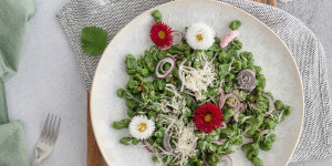 Beitragsbild des Blogbeitrags Gesunde Frühjahrsküche: Grüne Brennnessel-Spätzle mit Zwiebel 