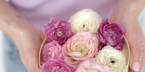 Beitragsbild des Blogbeitrags Blumen selber trocknen – mit dieser Methode gelingts am besten