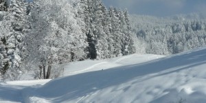 Beitragsbild des Blogbeitrags krautfotografie.com: Nichtstun.