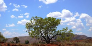 Beitragsbild des Blogbeitrags Memorables Madagasikara: bonjour & au revoir