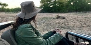 Beitragsbild des Blogbeitrags Südafrika Safari im Sabi Sands Game Reserve – Tipps und Erfahrungsbericht 
