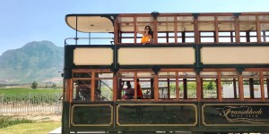 Beitragsbild des Blogbeitrags Südafrika Stellenbosch & Franschhoek: Highlights der Weinberge und Naturreservate