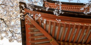Beitragsbild des Blogbeitrags Japan Blog: Rundreise und Highlights in 3 Wochen