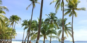 Beitragsbild des Blogbeitrags Philippinen: Bohol & Panglao – Wasserfälle & Traumstrände 