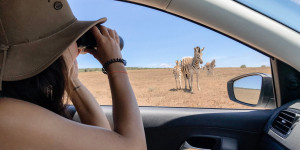 Beitragsbild des Blogbeitrags Südafrika Selbstfahrer Safari: 6 Tipps für eine gelungene Safari 