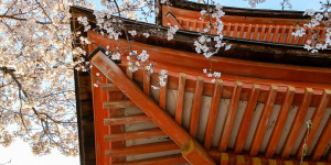 Beitragsbild des Blogbeitrags Japan Reiseroute: Ziele & top Highlights – Rundreise in 3 Wochen