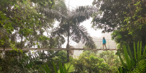 Beitragsbild des Blogbeitrags Reisetipps Costa Rica: Quick Guide & 3-wöchige Route mit Baby 
