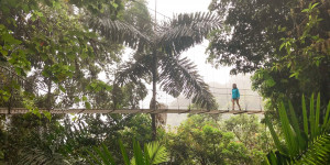 Beitragsbild des Blogbeitrags Reisetipps Costa Rica: Quick Guide & 3-wöchige Route mit Baby