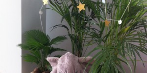 Beitragsbild des Blogbeitrags 1001 Nacht – meine Maus feiert Geburtstag