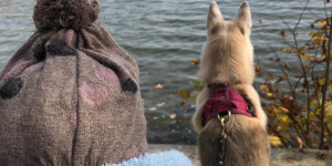 Beitragsbild des Blogbeitrags Wo bleibt die Zeit? – Meine Bucketlist für November 