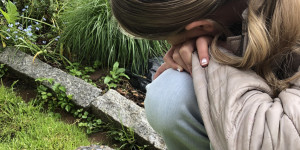 Beitragsbild des Blogbeitrags Der Apfel fällt nicht weit vom Stamm? Nature – Nurture – oder was?