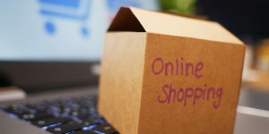 Beitragsbild des Blogbeitrags Förderung des Auf- und Ausbaues von Onlineshopsystemen 