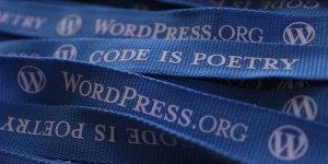 Beitragsbild des Blogbeitrags WordPress 6.6.1 Wartungs- und Sicherheits-Update erschienen