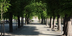 Beitragsbild des Blogbeitrags Augarten Wien – Wiens älteste barocke Gartenanlage