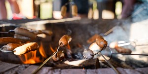 Beitragsbild des Blogbeitrags Von Lagerfeuer, Marillensenf und Marshmallows 